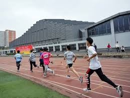 2010 名人堂神迹：罗伊·哈勒戴在季后赛投出历史第二场季后赛无安打比赛